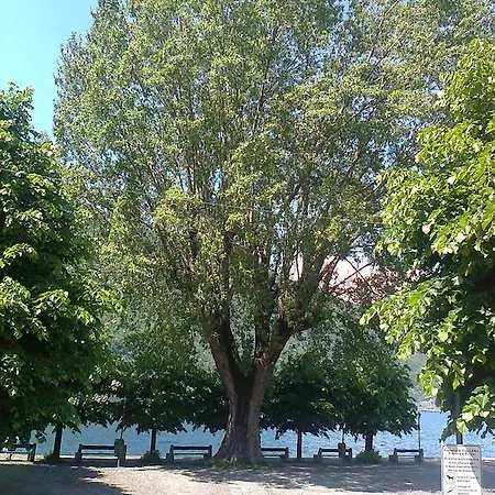 Uliveto Apartman *