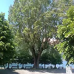 Uliveto Apartment *